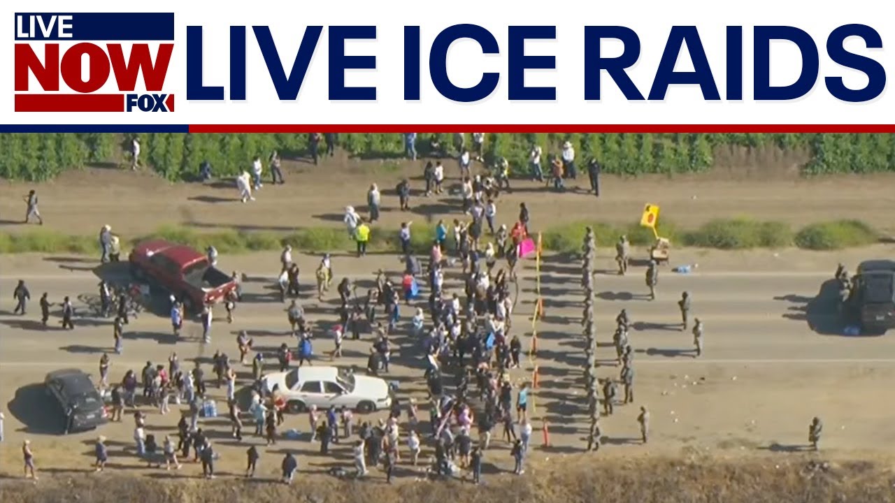 SKYFOX: ICE operations in New York City