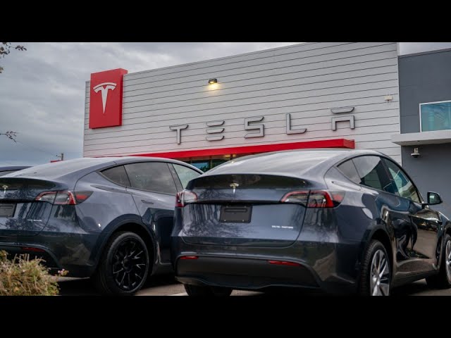 Tesla’s ‘AI Transformation’ Is in Focus for Analyst Dan Ives