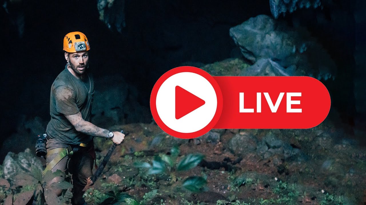 The 7 Traps that Steal your Fire (Free Webinar)