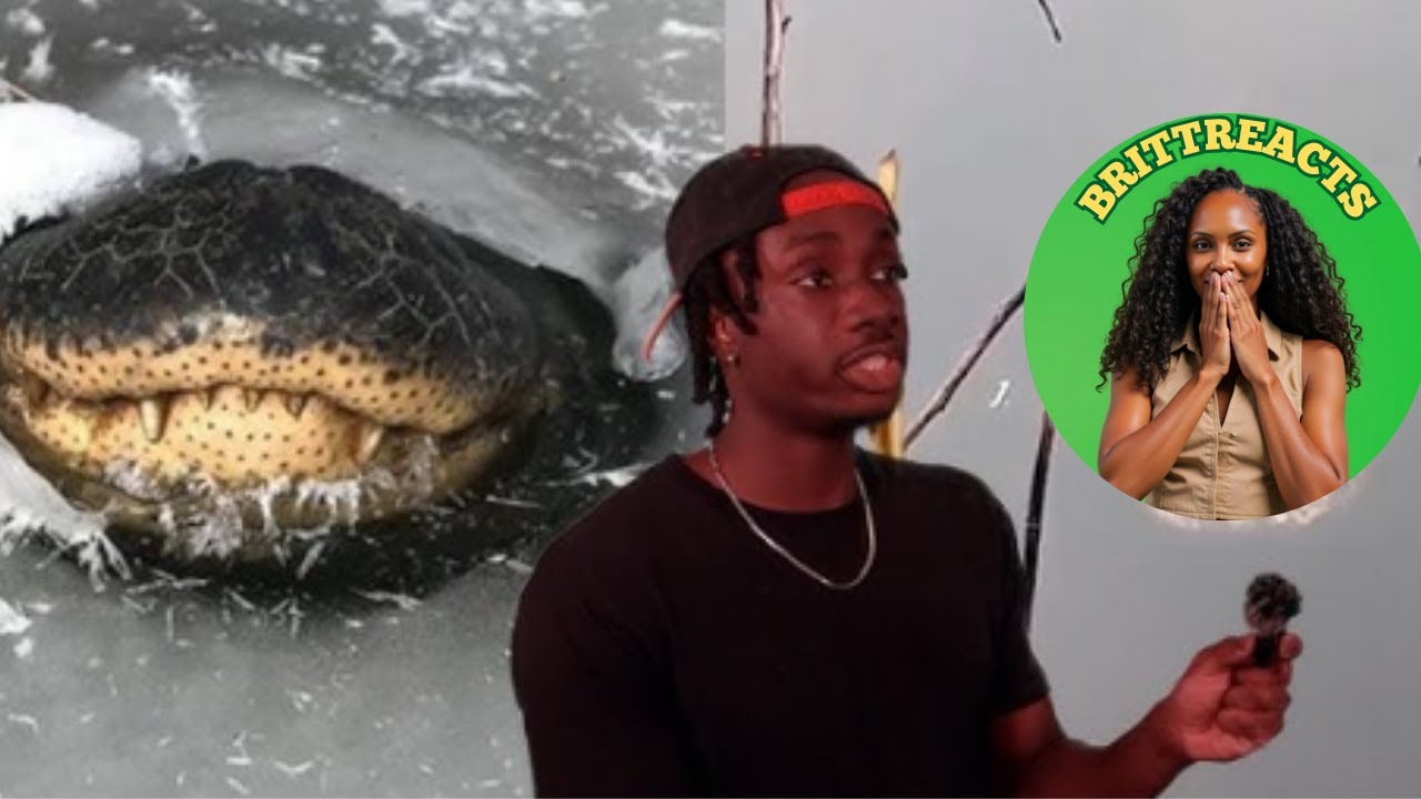 THE SCARIEST ANIMAL ON THE PLANET?!? | BRITTREACTS TO CASUAL GEOGRAPHIC