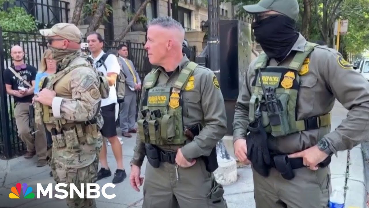 ‘There is no purpose’: Reporter on the ground in Chicago reacts to National Guard presence in city