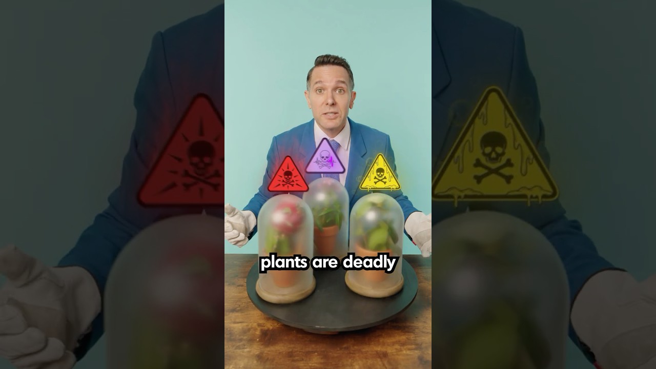 These Plants Are Illegal