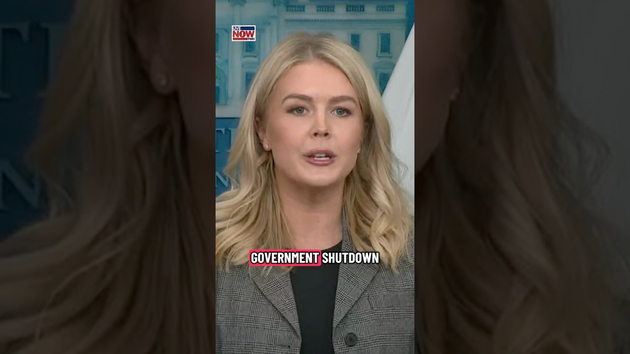 WH press secretary Karoline Leavitt blames the shutdown on the Democratic Party