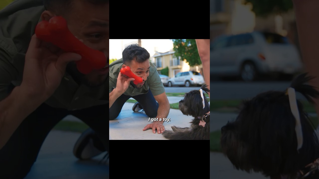 When you see a cute dog