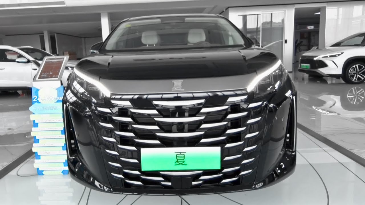 2025 BYD Xia in-depth Walkaround