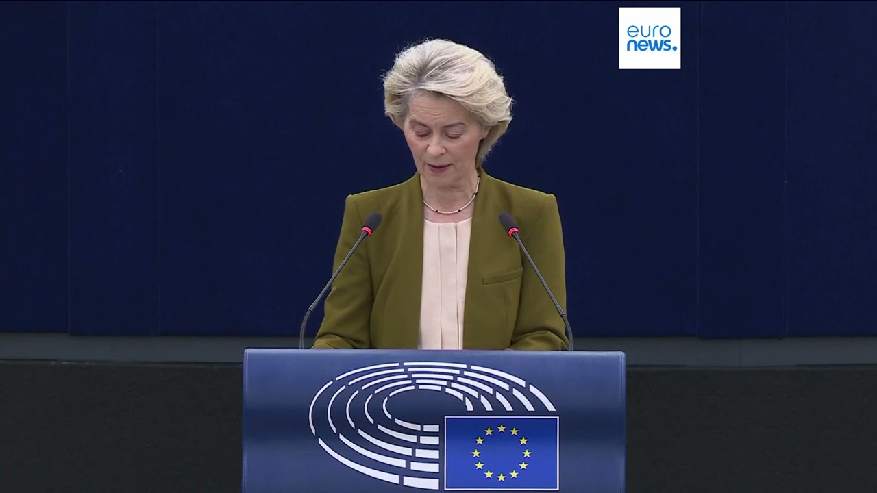 ‘Americans believe everything Putin says,’ MEP and former general tells Euronews