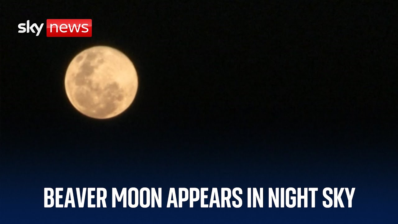 Beaver Moon appears in the night sky around the world