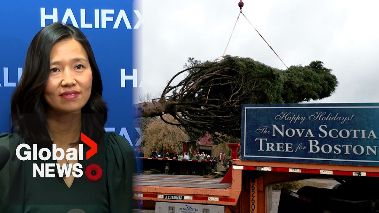 Boston mayor visits Nova Scotia to receive annual Tree for Boston gift