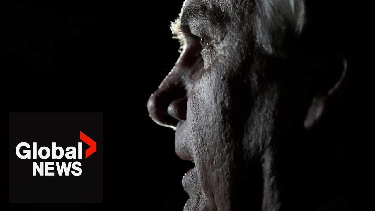 Brazil ex-president Bolsonaro arrested over plot to escape prison sentence