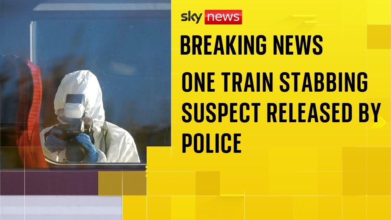 British man remains in custody after mass stabbing attack on train
