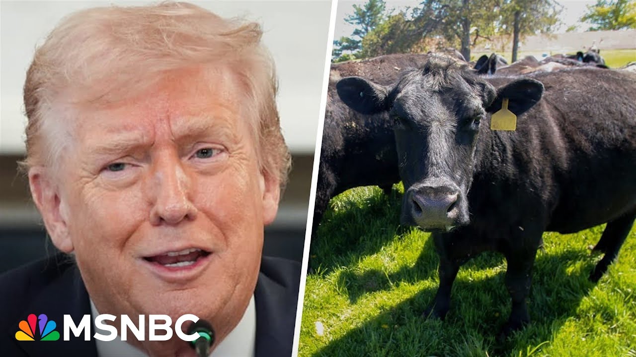 Cattle ranchers push back on Trump’s plan to increase beef imports from Argentina