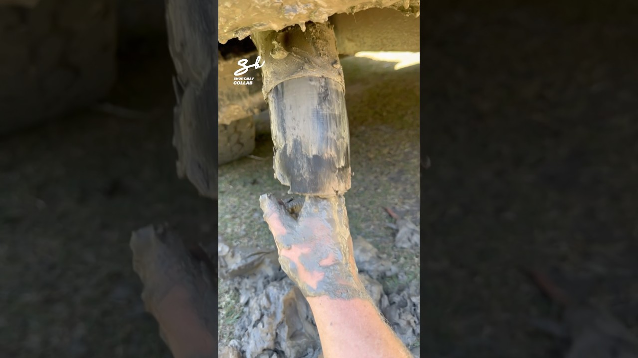 Clearing A Blocked Exhaust! 😳 #exhaust #cars #vehicles