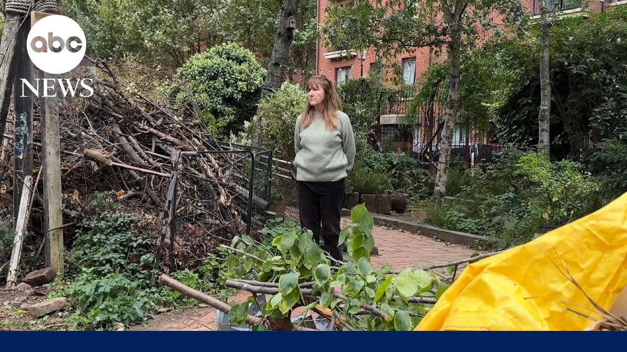 Community rallies to save WWII bomb site-turned-garden in heart of London