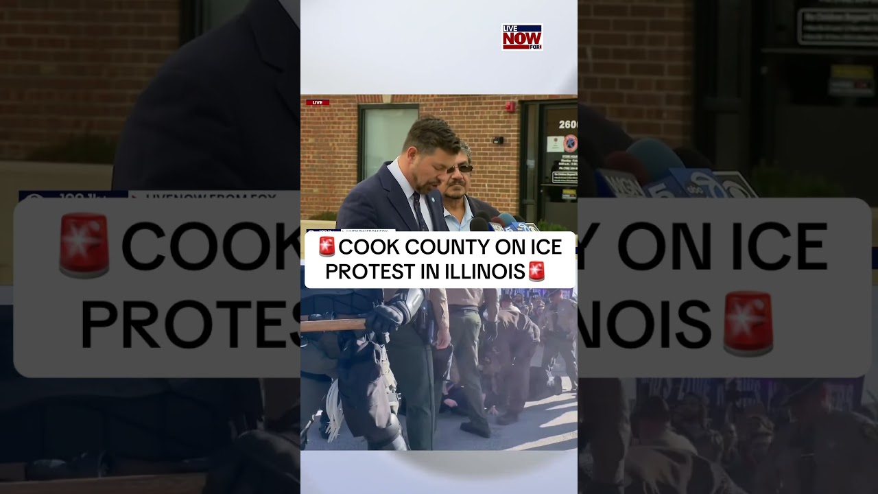 Cook County Commissioner on ICE facility conditions amid ongoing protests. #news #breaking #ice