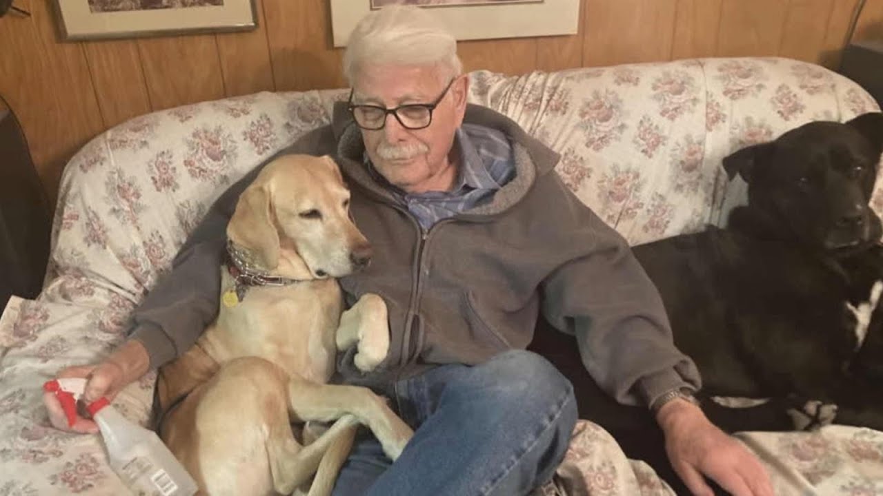 Dad’s smelly socks reunite 93-year-old with missing dog in incredible rescue