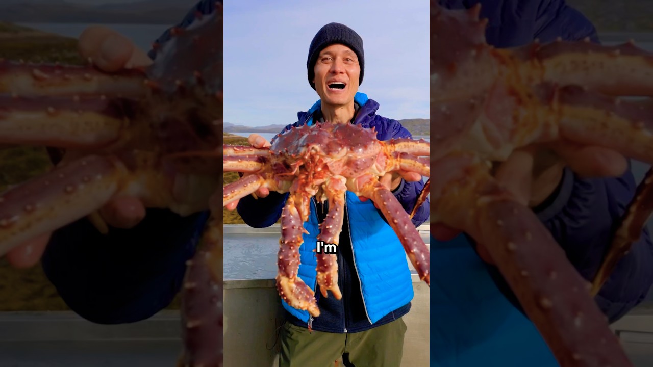 Eating the World’s Freshest King Crab 🦀