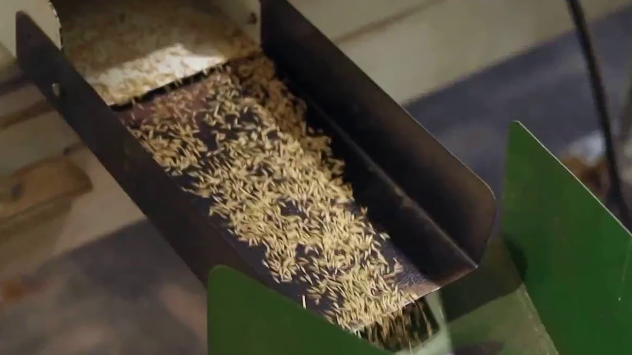 Farmers use native seeds to heal land impacted by wildfires