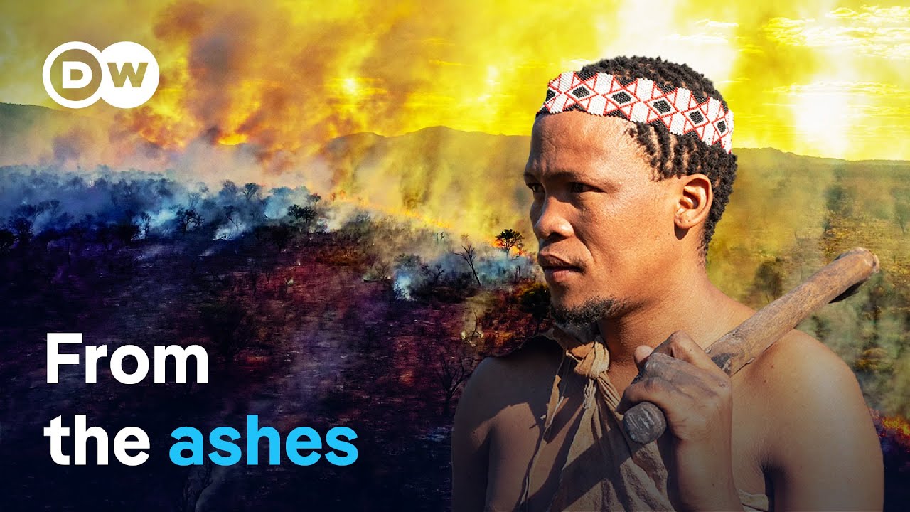 Fighting fire with indigenous knowledge | DW Documentary