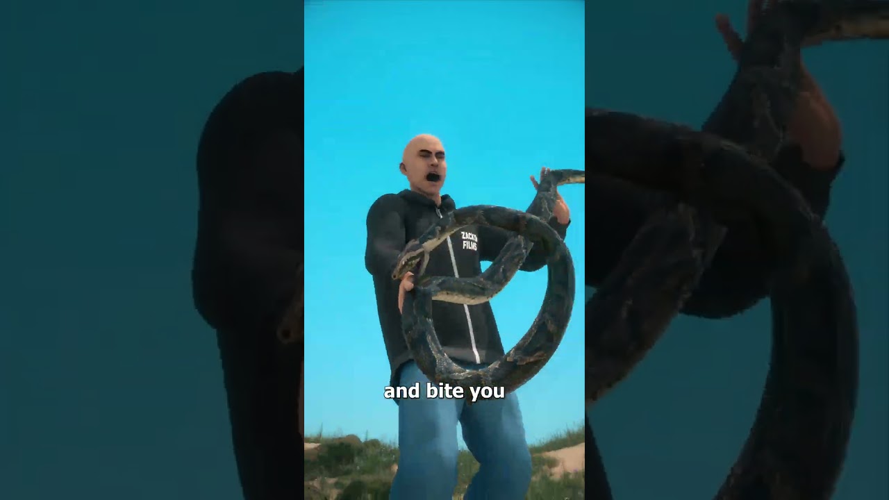 How To Catch A Python 🤔