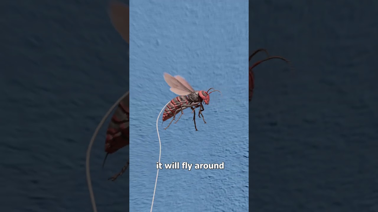 How To Create A Wasp Army 🤔