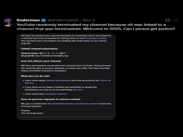 Latest Youtube Ban Wave is Nuts