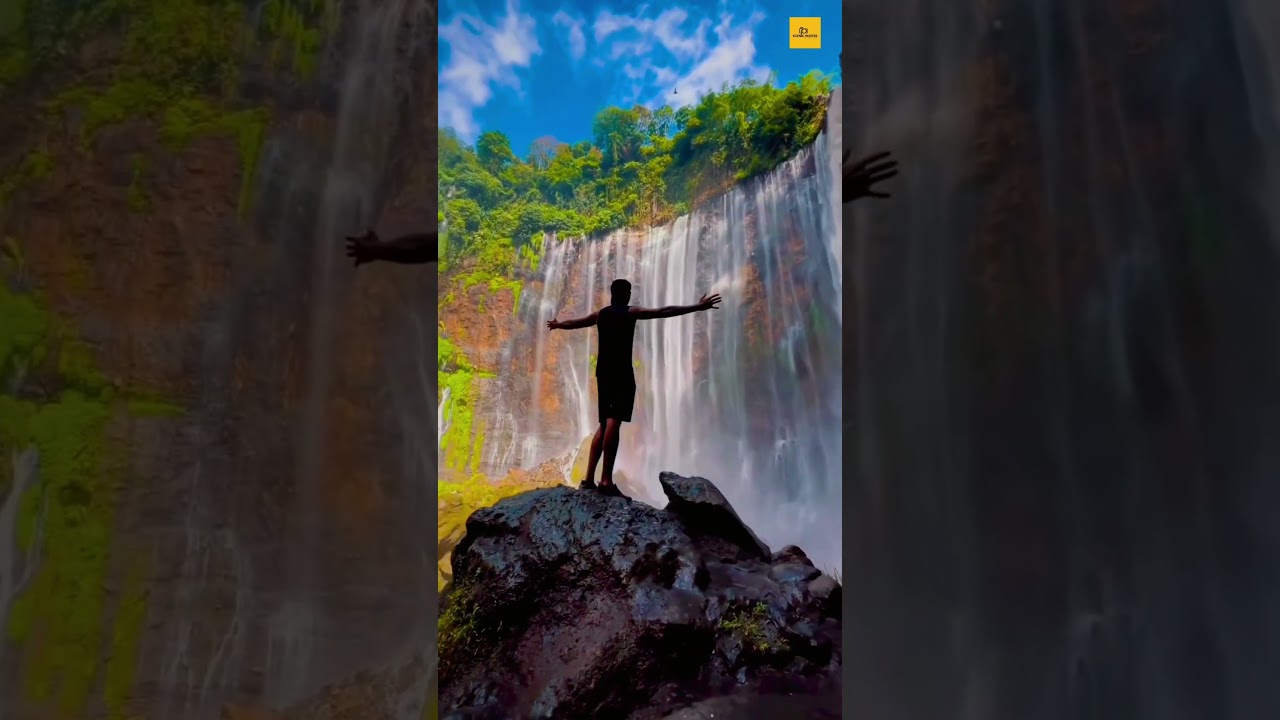 Natures Souls #travel #scenicjourney #waterfall #shorts