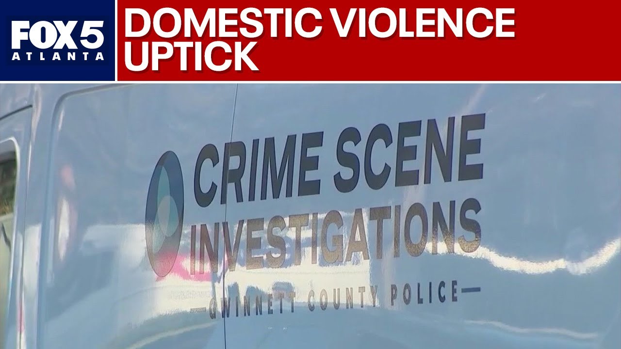 Organization sees increase in extreme domestic violence cases | FOX 5 News