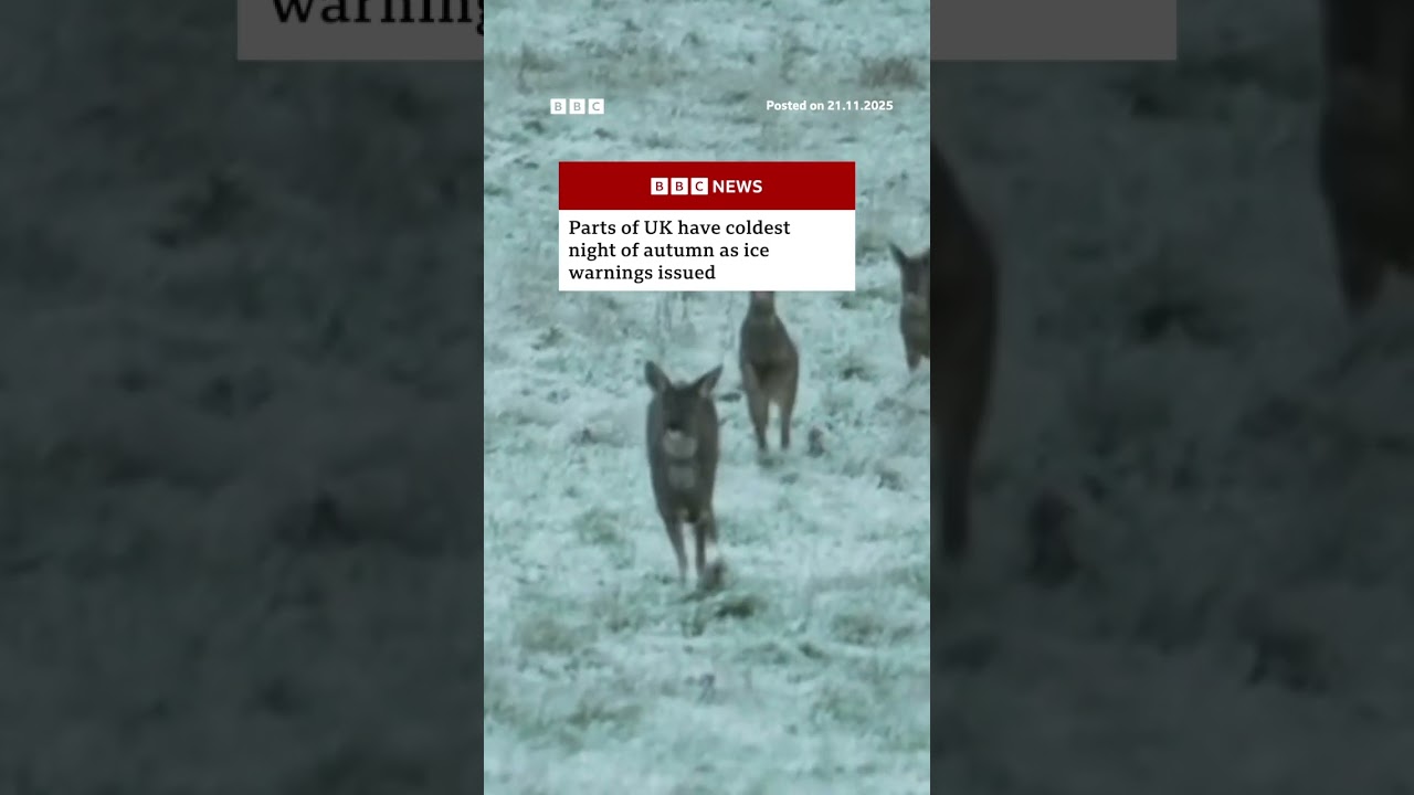 Parts of the UK had their coldest night of autumn. #UK #Weather #BBCNews