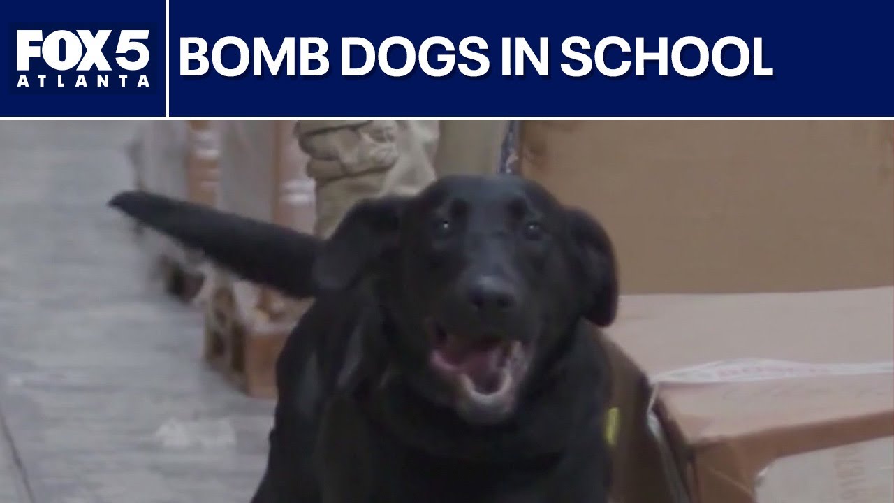 School district hires more bomb-sniffing dogs | FOX 5 News