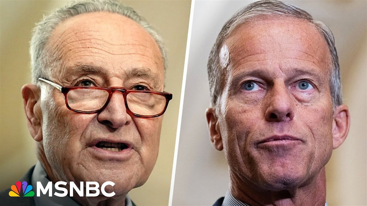 Schumer: Extend healthcare tax credits for a year & Dems will vote to reopen government