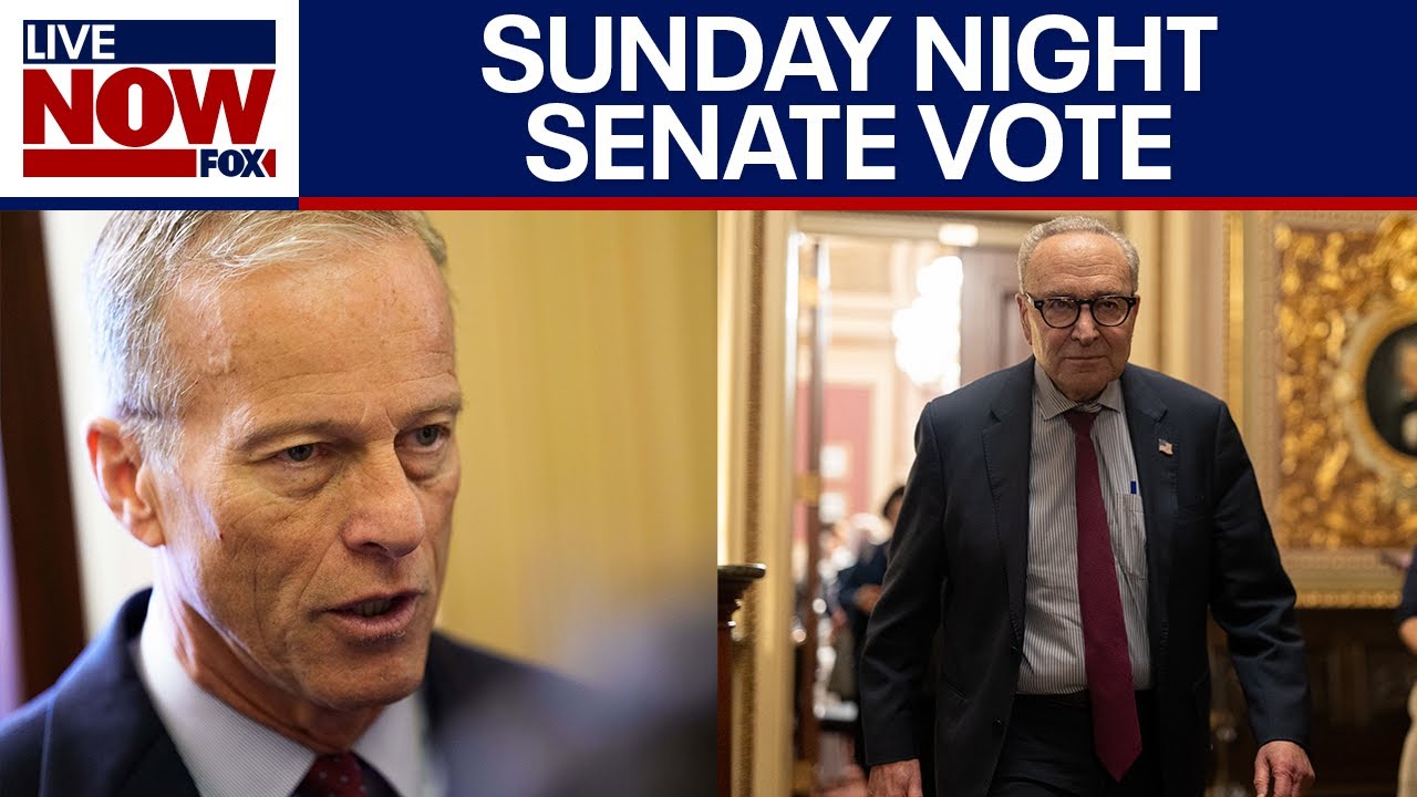 Senate leaders weigh in ahead of government shutdown test vote