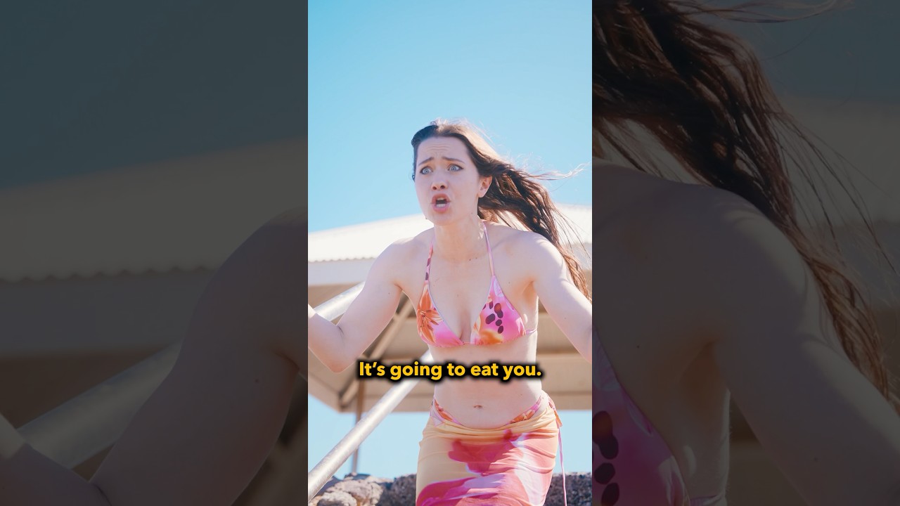 Swimming with sharks