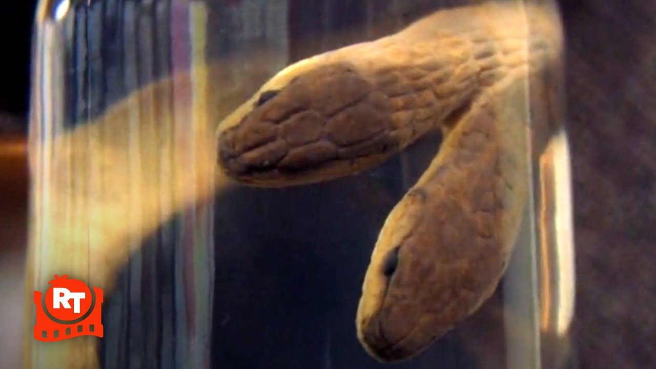The Last Mimzy (2007) – TWO-HEADED SNAKE! | Movieclips