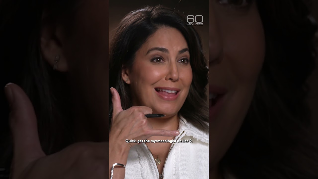 The strict rules behind breaking a world record #shorts