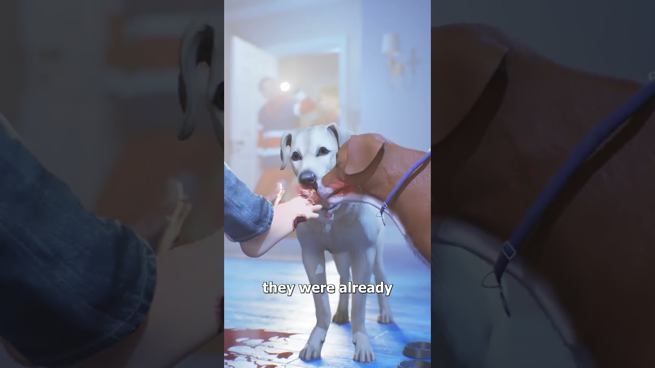 The Woman Who Tried To Sell Human Toes 😳