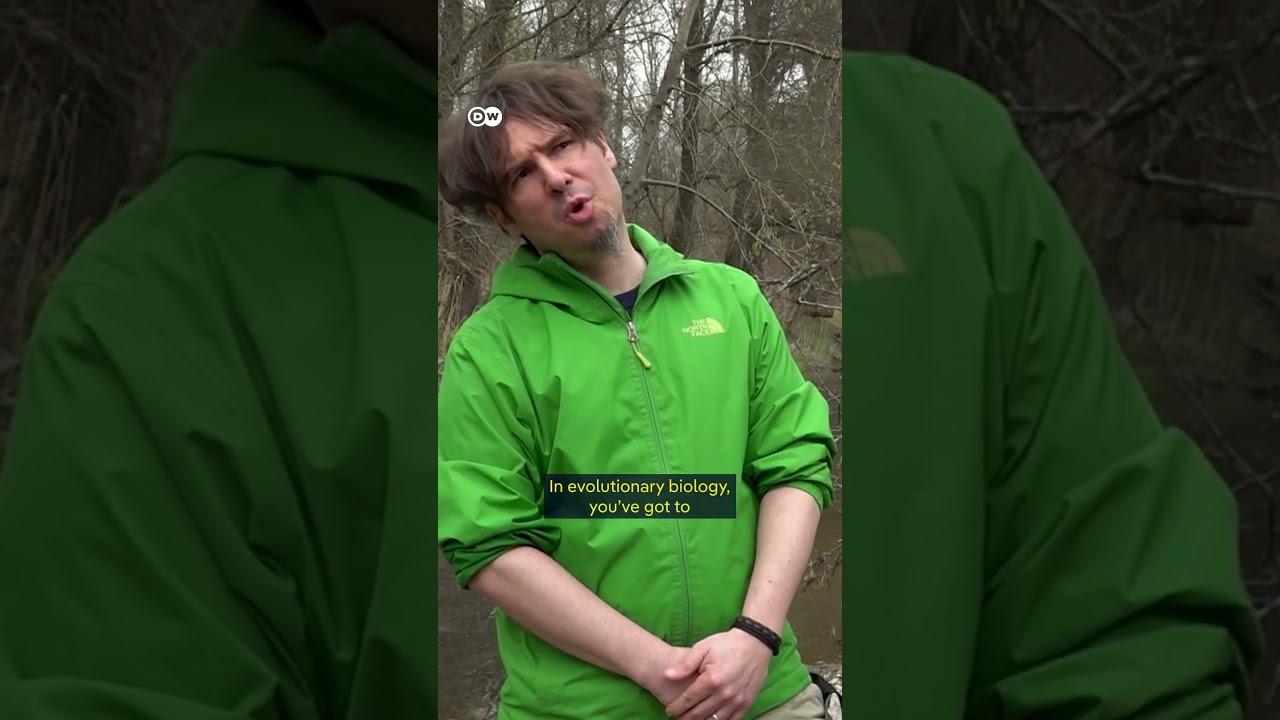 This invasive species is destroying Germany’s ponds! | DW Documentary