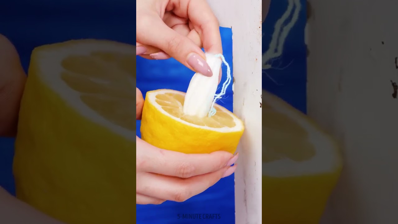 This Washing Machine Was Trash… Until I Made It an Aquarium! 🐠🔥 The Reveal Is WOW!