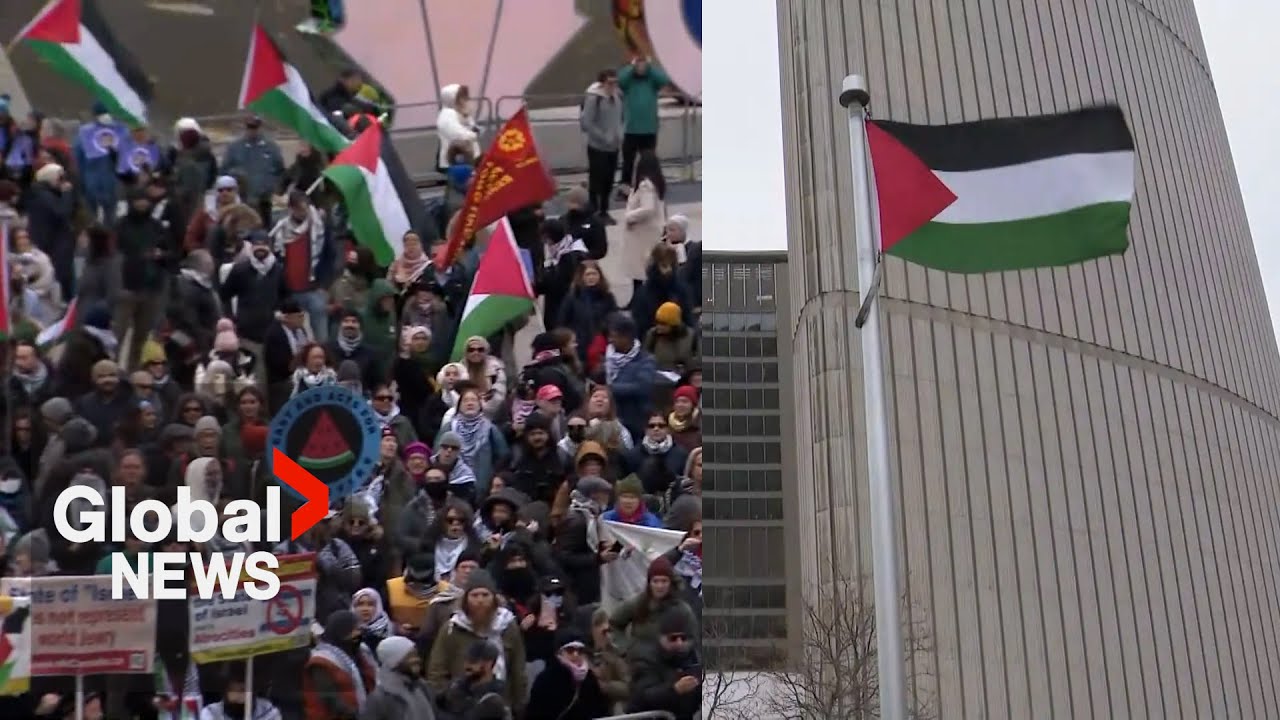Toronto City Hall raises Palestinian flag, joins other cities across Canada
