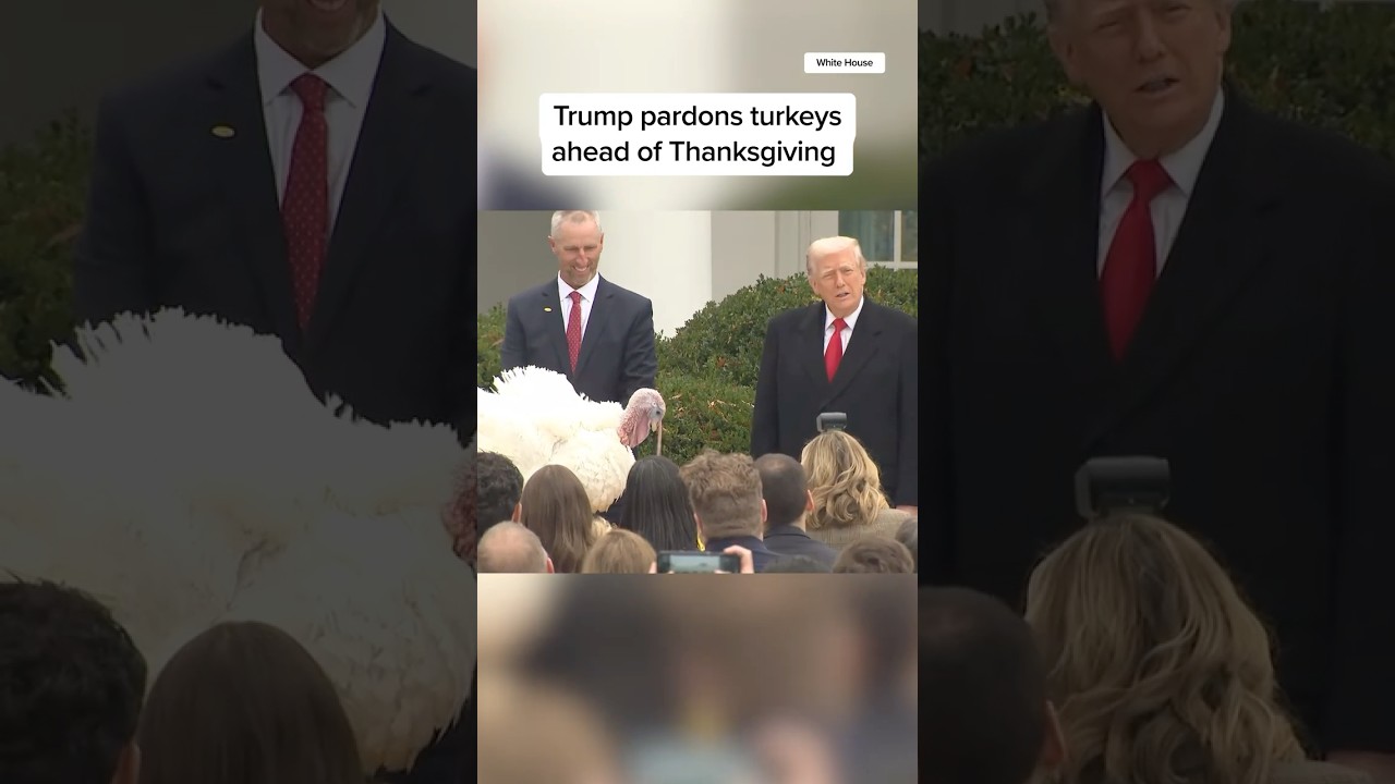 Trump pardons turkeys ahead of Thanksgiving
