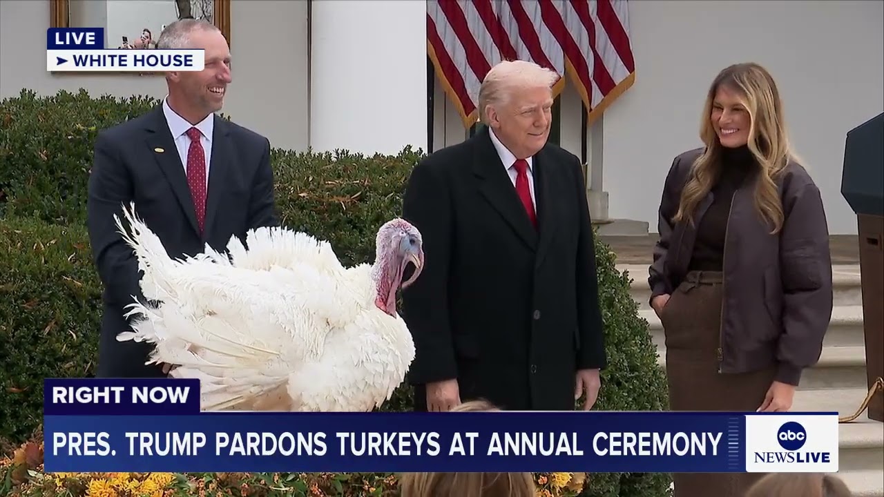 Trump pardons turkeys at annual turkey pardoning at White House