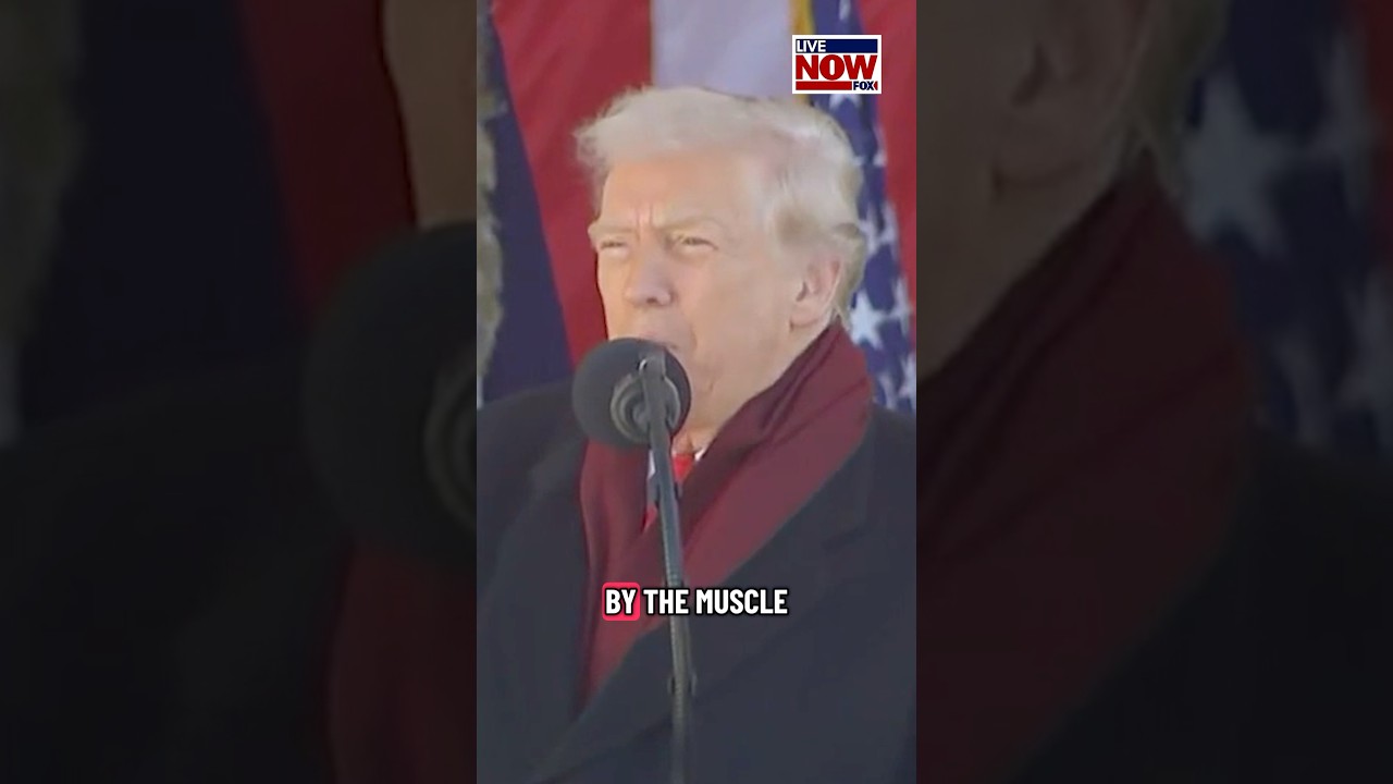 Trump speaks at Veterans Day ceremony.