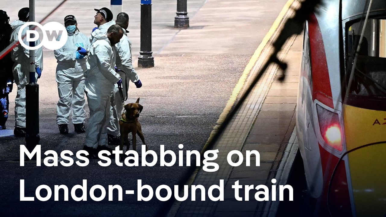 Two British nationals arrested after mass train stabbing that wounded 10  | DW News