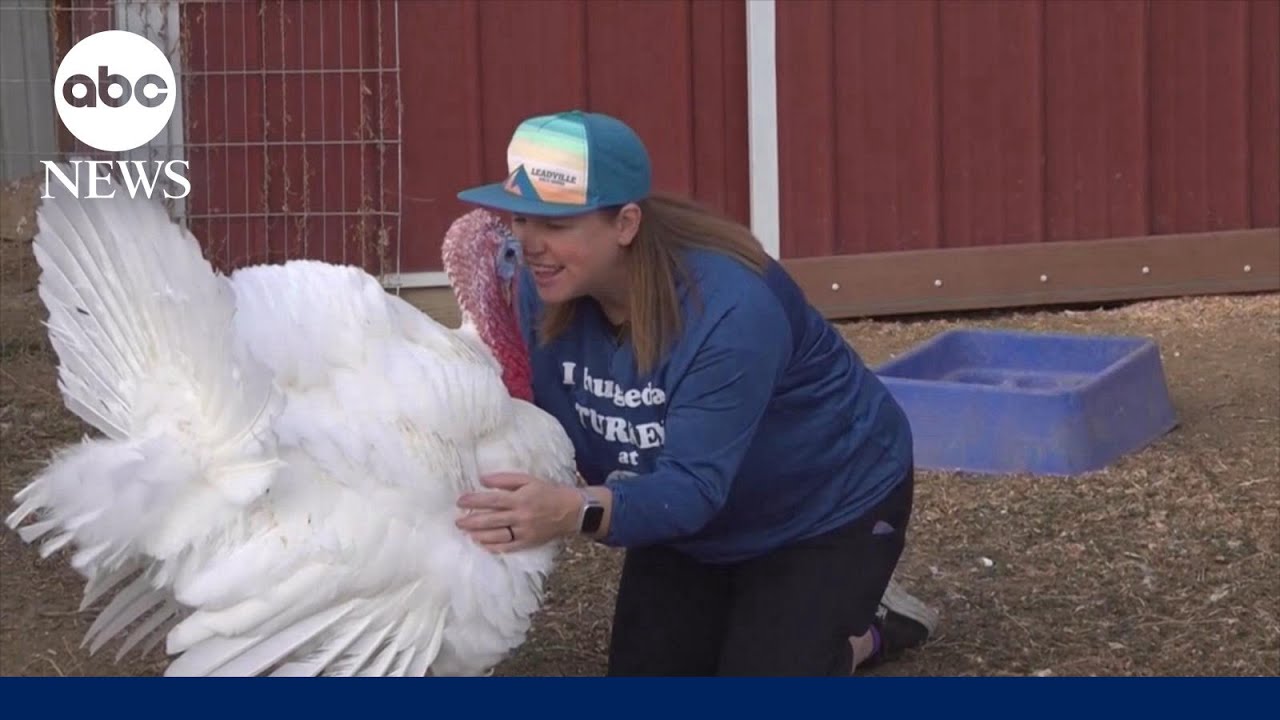 Why some people are adopting turkeys instead of eating them