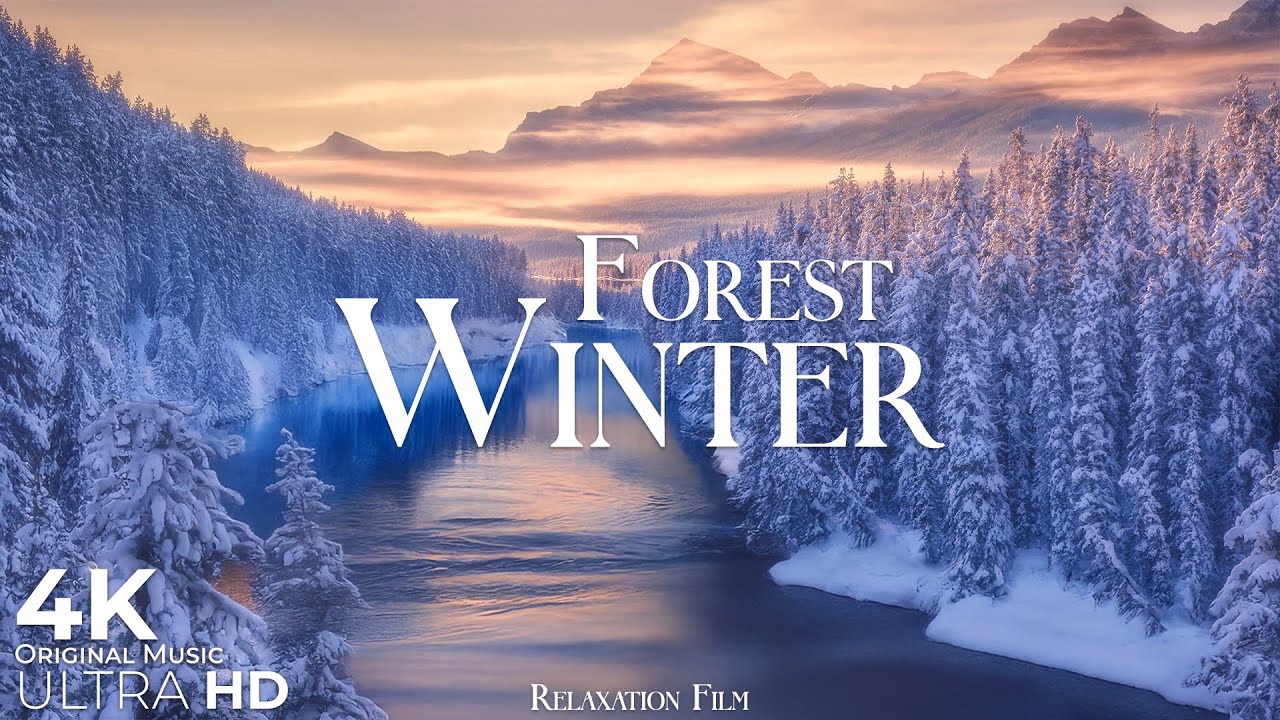 Winter Forest 4K • Snow Ambience – Relaxation Film with Deep Calming Music | Nature Ultra HD