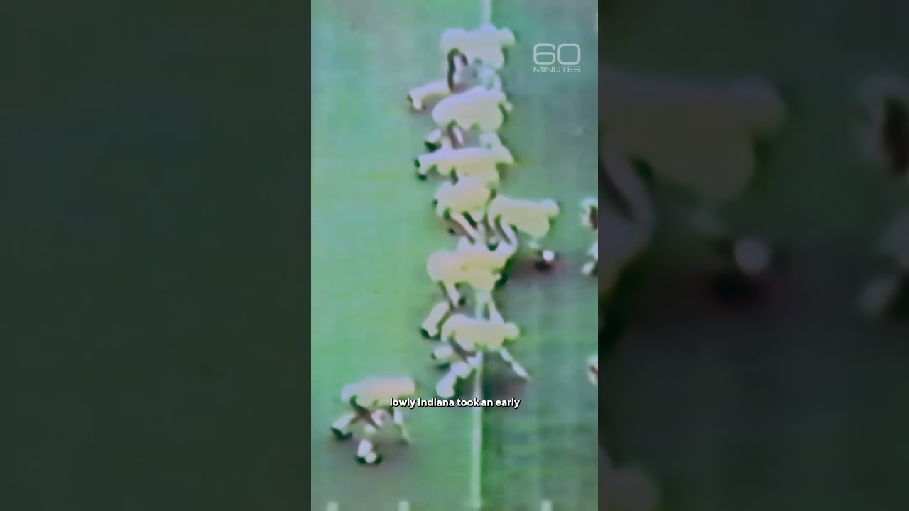 A low point for Indiana football #shorts