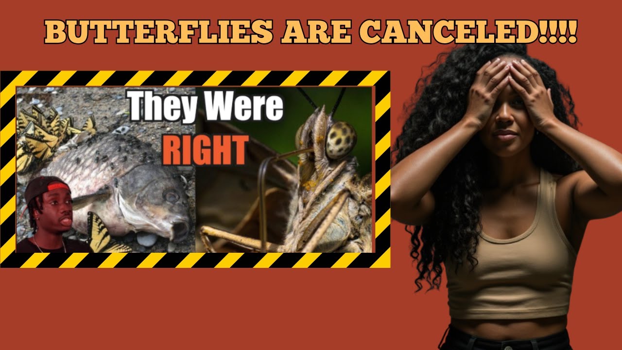 Butterfly Fear Isn’t Irrational, Here’s Why | CASUAL GEOGRAPHICS | BRITTREACTS