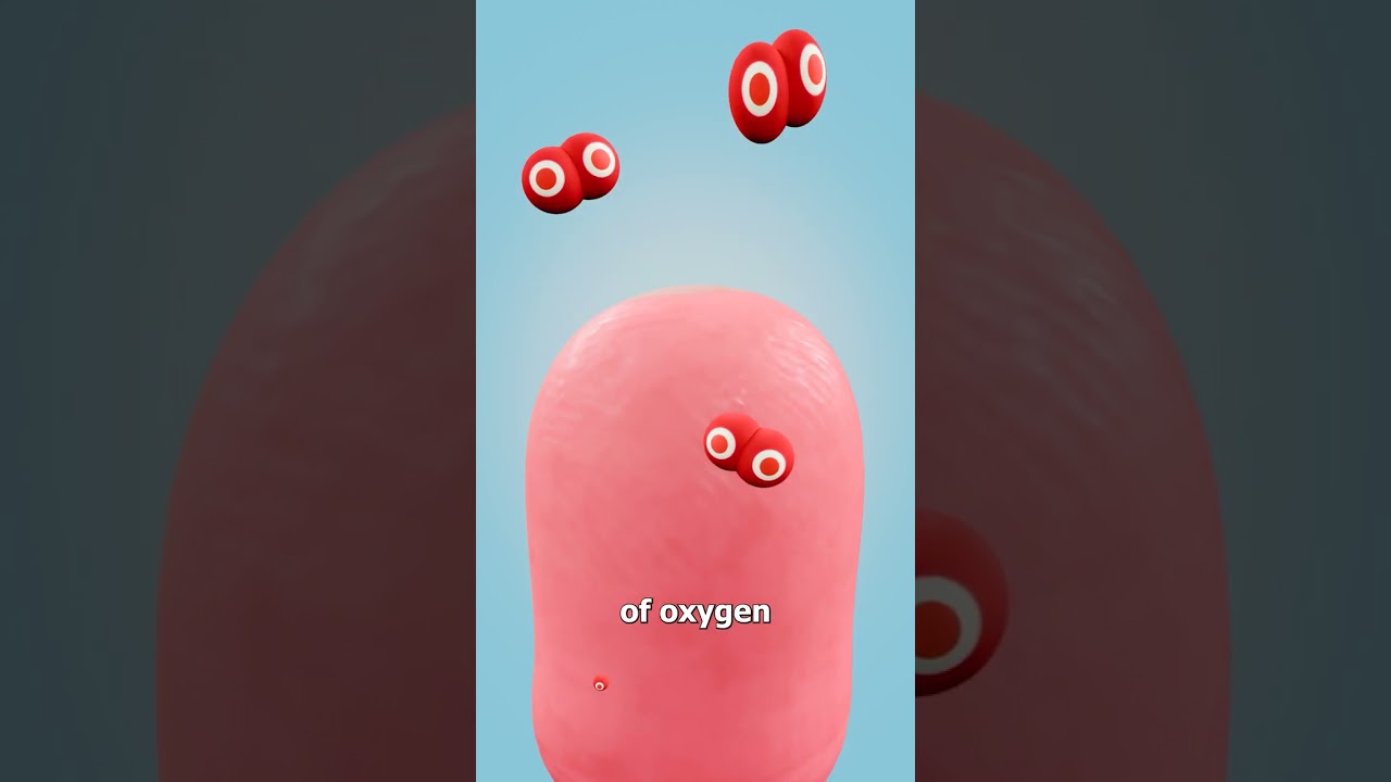 Can A Zip Tie Cut Off Your Finger? 😨