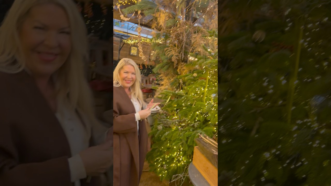 CHRISTMAS VISIT TO TOP LONDON PLACE TO VISIT