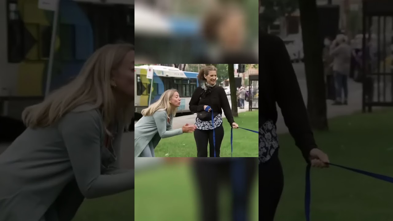 Cow Crashes Farmer’s Market | Just For Laughs Gags