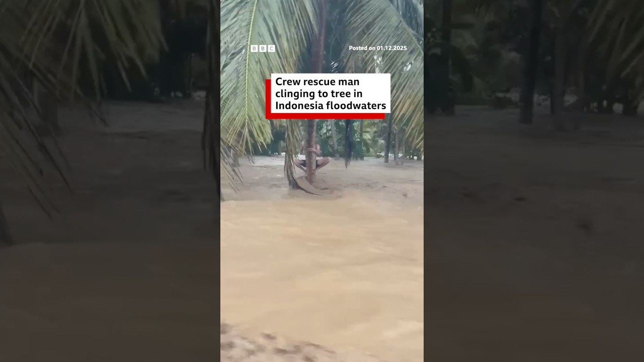 Crew rescue man clinging to tree in Indonesia floodwaters. #Indonesia #BBCNews